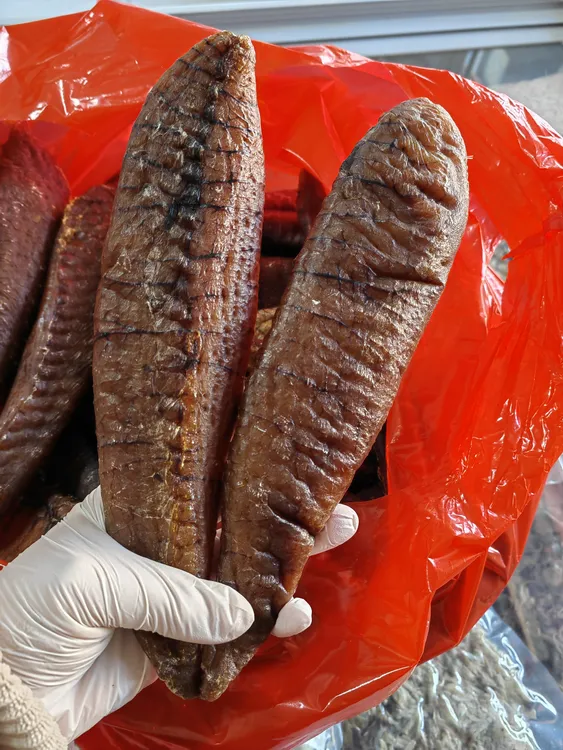 正宗鲅鱼籽 自家晾晒干鱼籽 无添加鱼子 青岛特产 大号巴鱼籽