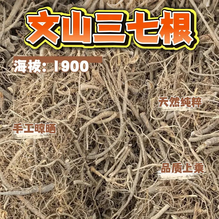 文山精选三七粗根/毛根