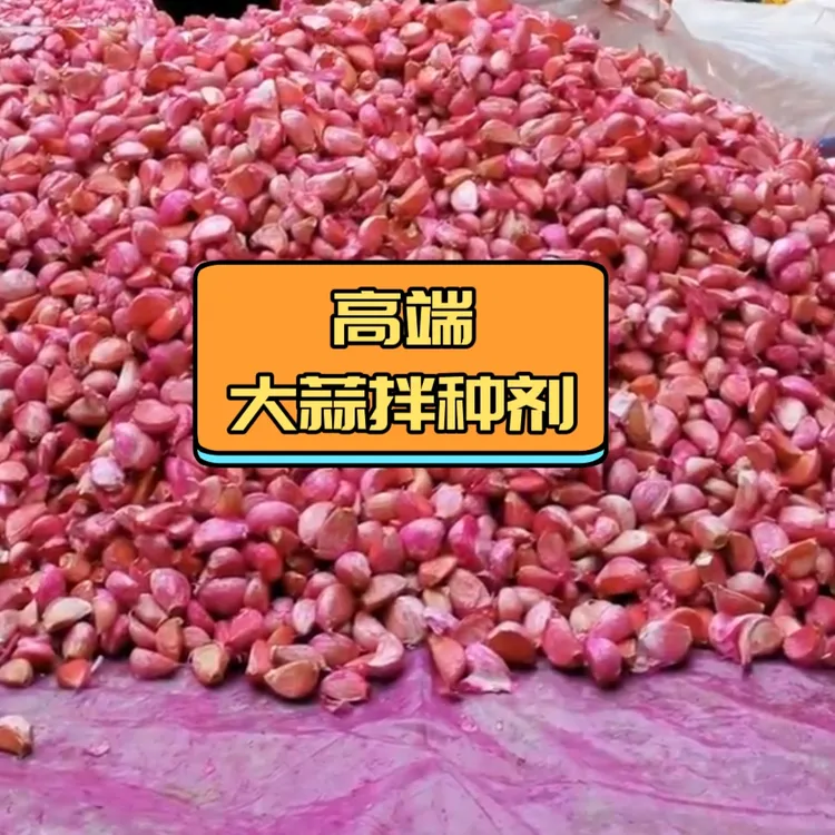 高端二五大蒜拌种大蒜包衣剂正品叶面肥