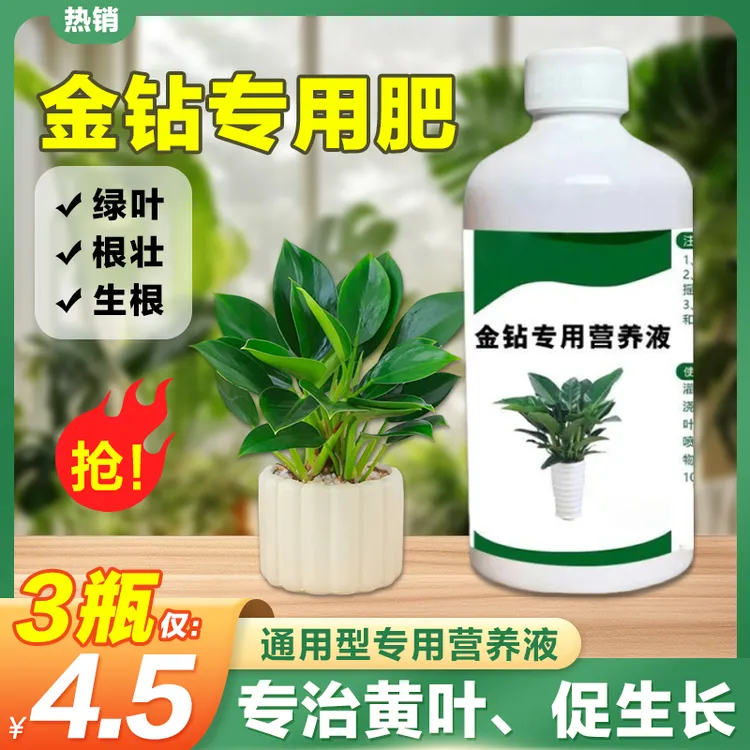 【4·5/3瓶】专用营养液肥黄叶卷边绿植通用型免稀释植物花肥料园艺商品图