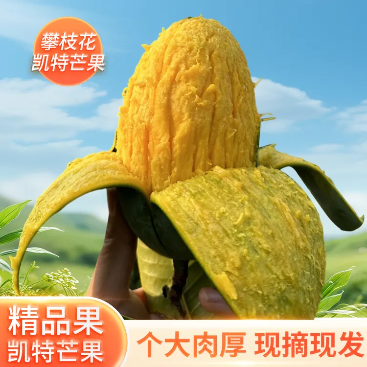 【可乐专属】四川攀枝花晚秋芒果新鲜现摘酸甜多汁芒果香味浓