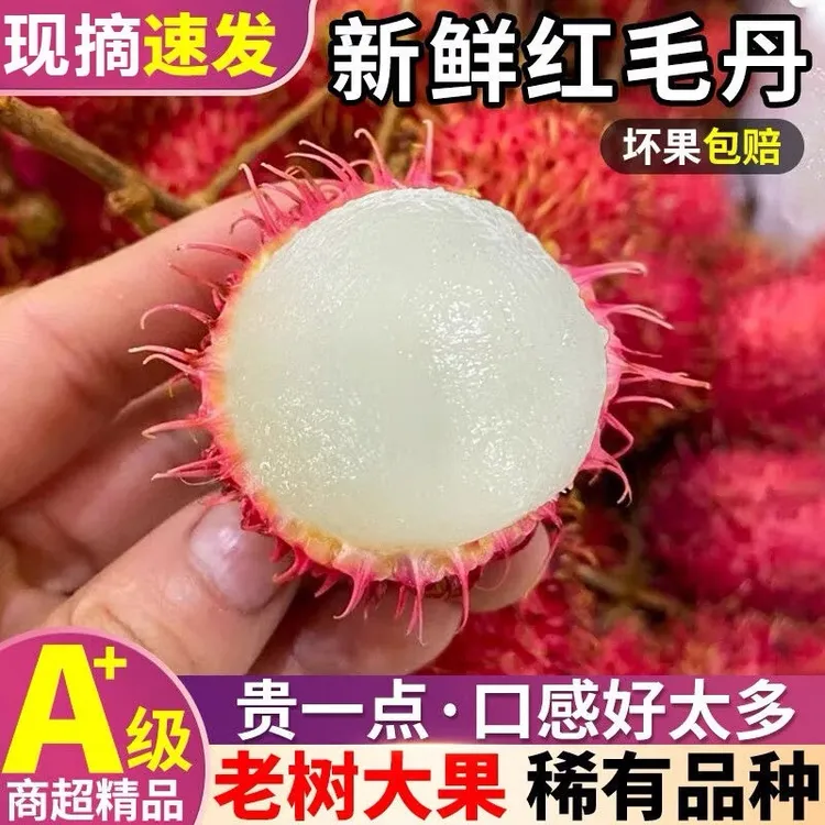 【冷链包邮】泰国老树红毛丹甄选精品当季热带水果新鲜采摘坏果包赔