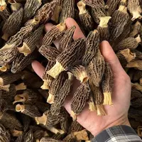 【陈玉兰助农专属】贵州农家干羊肚菌