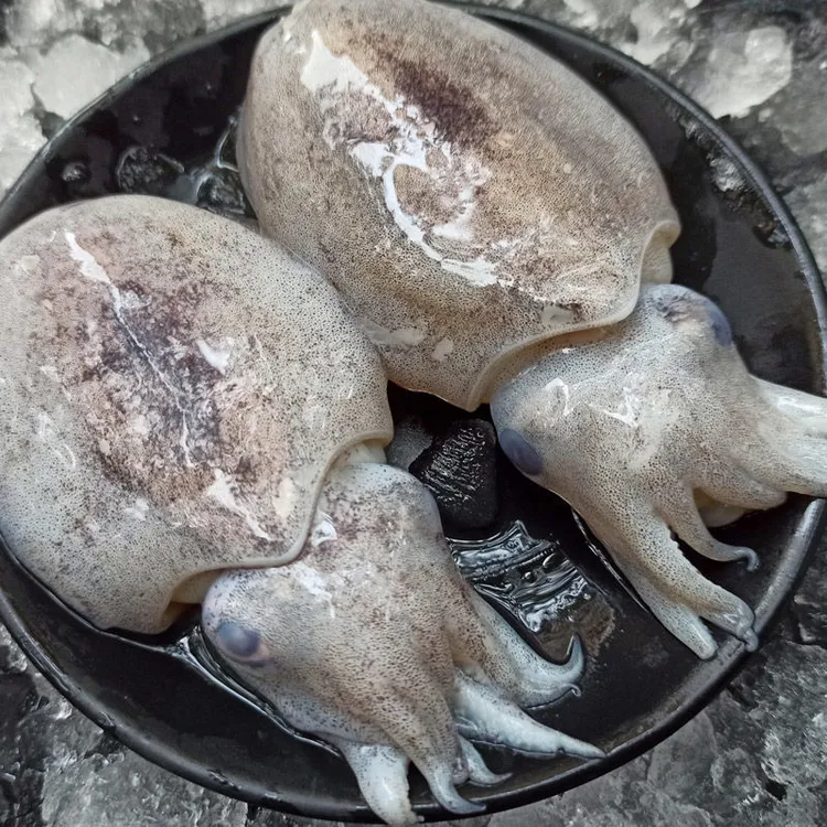 舟山东海野生小墨鱼 新鲜速冻 舟山本地顺丰冷链发货