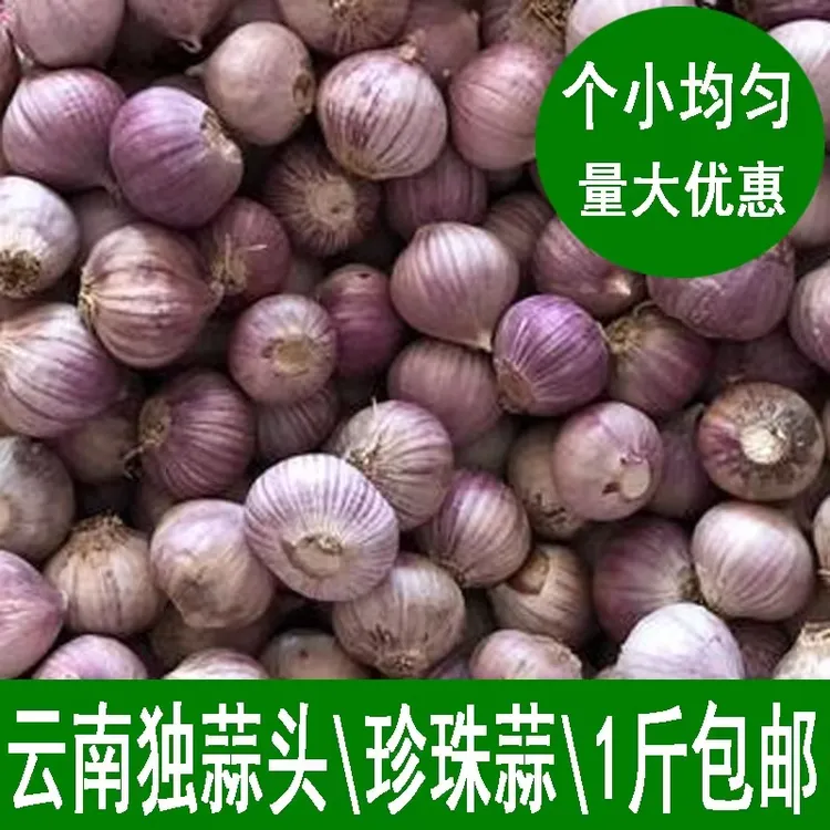 新鲜云南紫皮独蒜干蒜头独头蒜农家独蒜头1斤包邮