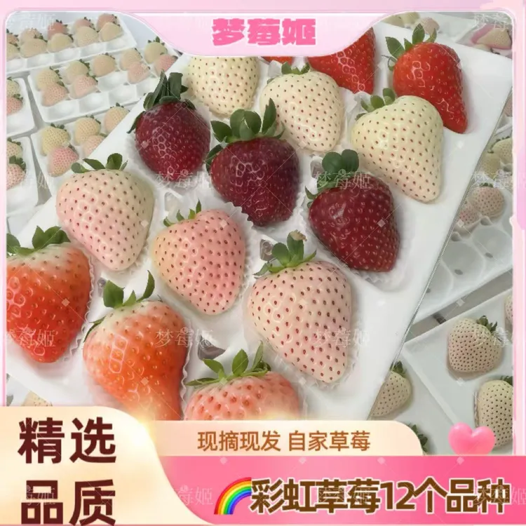 【顺丰包邮】淡雪草莓三色草莓草莓盲盒红白粉送礼多色草莓彩虹草莓