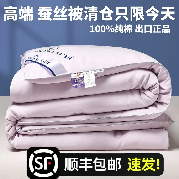 出口蚕丝被100%正品桑蚕丝春秋被空调被学生宿舍双人被芯保暖冬被
