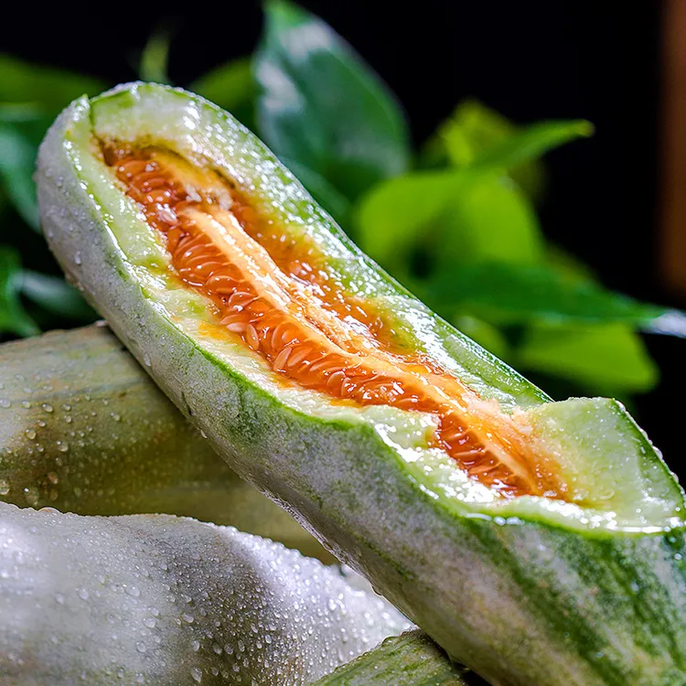 【顺丰包邮】山东头茬羊角蜜甜瓜脆甜多汁应季水果新鲜现摘现发