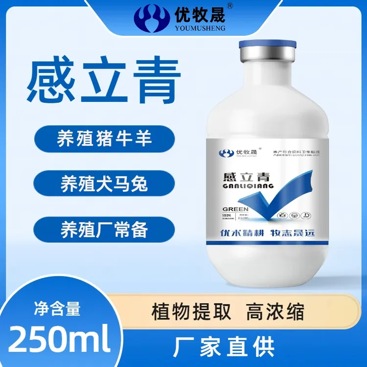 【感立青】猪牛羊感冒兽用感康畜禽通用液态饲料添加剂提取物