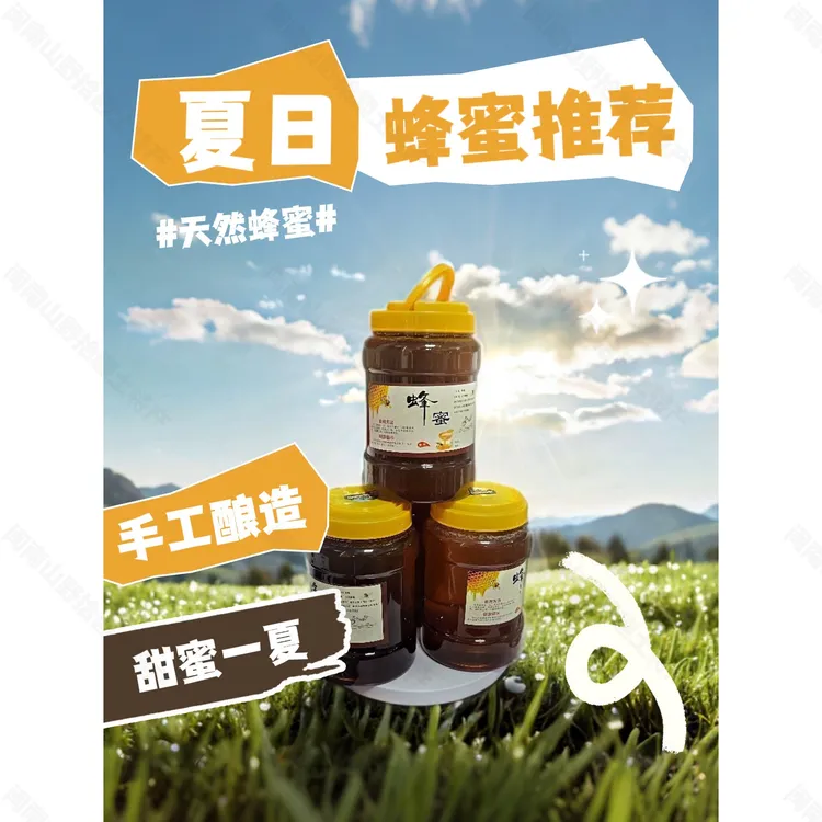 500g【支持检测】农家山野乡村土蜂蜜天然土蜂蜜原生态0添加