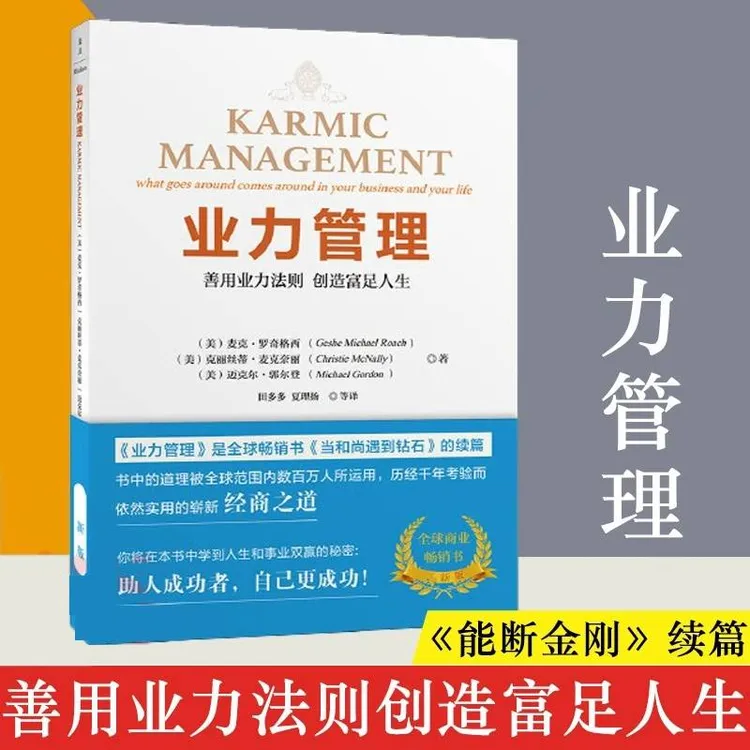  业力管理 《能断金刚》续篇 善用业力法则创造富足人生 书籍