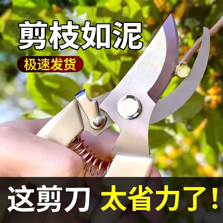 园艺剪园艺锯园林果林修枝好物家用绿化枝修剪刀专用工具采摘剪枝