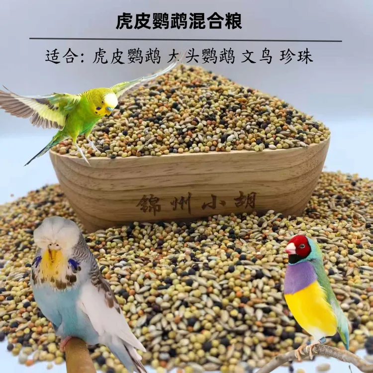虎皮鹦鹉混合粮十姐妹 文鸟珍珠鸟七彩混合粮 五合一 高性价比