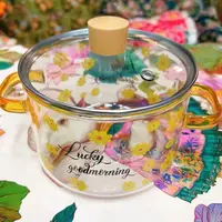 燃气灶玻璃锅电陶炉北欧风汤锅 DD