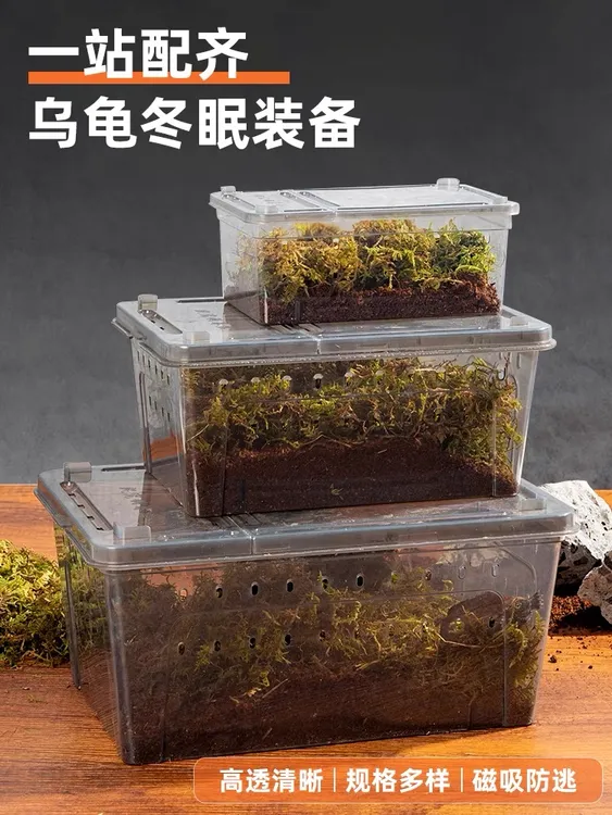 冬眠套装冬眠箱过冬用品椰土苔藓保温盒爬宠饲养盒椰土苔藓保温
