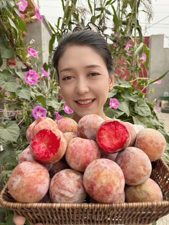 新疆恐龙蛋 顺丰空运