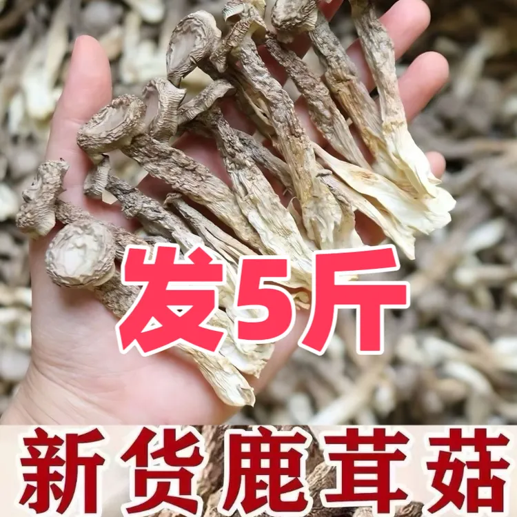 鹿茸菇干货无硫熏可炖汤炒腊肉的农家特产