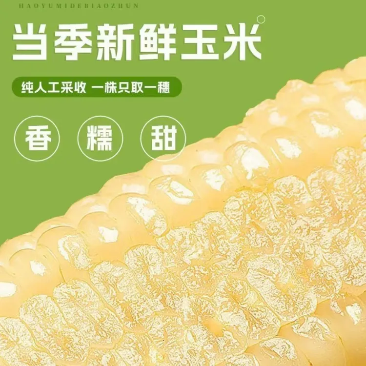 【万人疯抢】2025头茬新鲜黏糯玉米东北白糯玉米软糯香甜粗粮早餐商品图