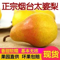 【香甜软糯】太婆梨烟台特产啤梨大头梨葫芦梨香甜多汁新鲜水果