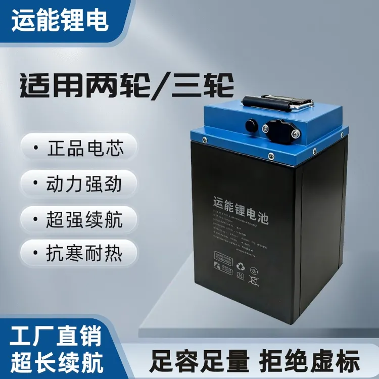 （国轩电芯）B款两轮车磷酸铁锂电池全新A品电芯超长续航 超长寿命
