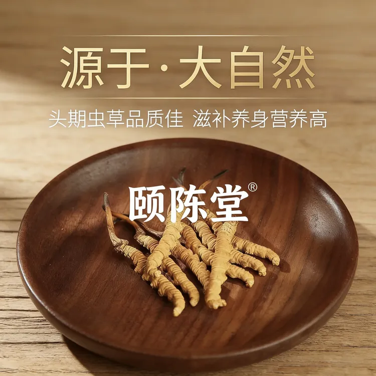 【永樂行】西藏冬虫夏草条S