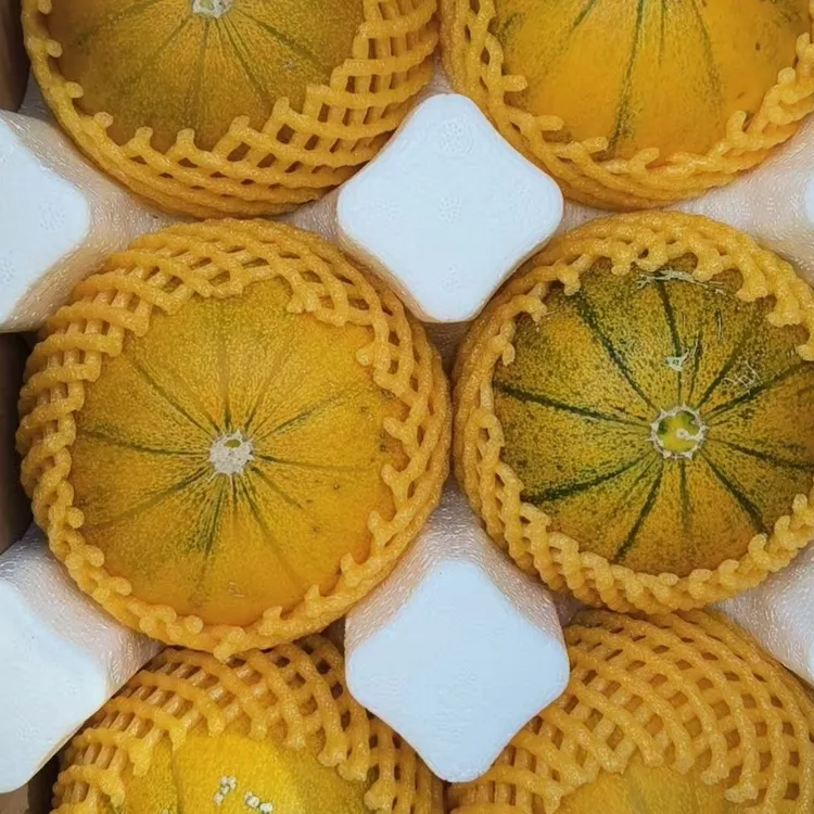 正宗磴口华莱士现摘现发应季水果内蒙古巴盟河套特产甜瓜密瓜