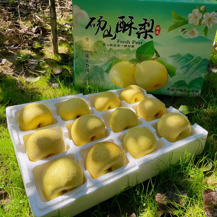 雪梨砀山梨冰糖雪梨炖梨雪梨水冰糖烤梨当季多汁爆甜