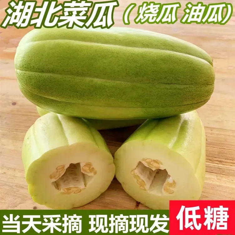 湖北烧瓜油瓜菜瓜老品种低糖水果非甜瓜羊角蜜玉女瓜新鲜现摘现发