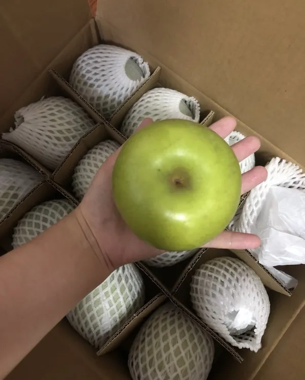 【8颗梨精品礼盒】枝江百里洲砂梨现摘青皮苹果梨单果400克