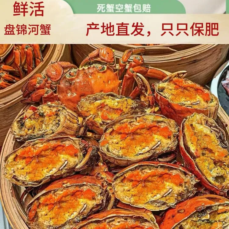 ｛鲜活｝盘锦河蟹全母蟹，1.7-1.4两每只，（8/12/16/20只）。产地直发。