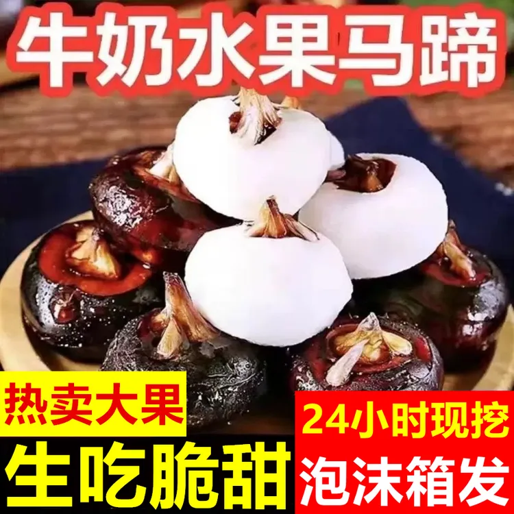 【水果马蹄】荸荠新鲜红皮马蹄果现挖地栗水果地下雪梨当季特产