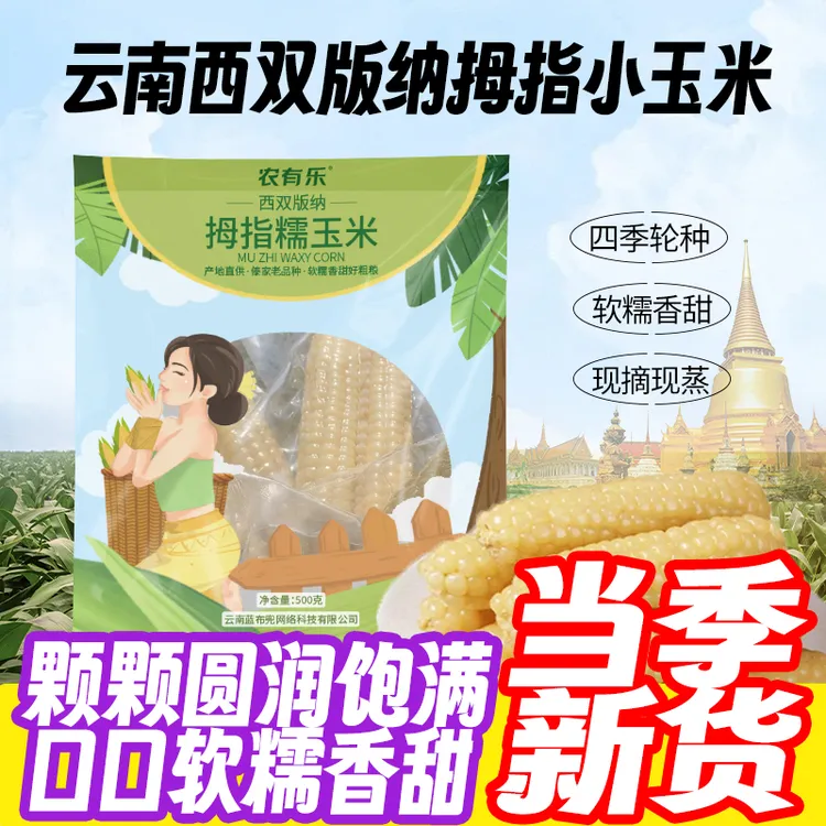 云南西双版纳当季拇指糯玉米甜玉米白甜软糯真空独立玉米