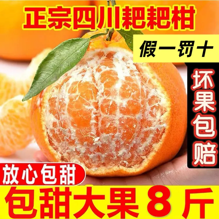 商超品质正宗四川春见耙耙柑粑粑柑杷杷柑新鲜水果当季丑桔子橘甜