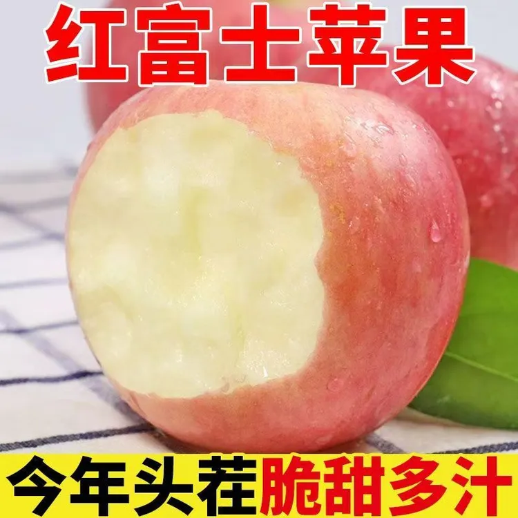 陕西洛川红富士苹果脆甜多汁新鲜采摘产地直发