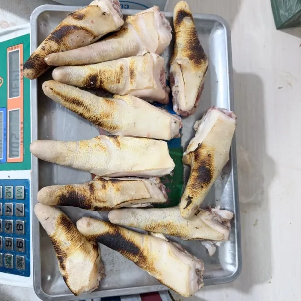 东北笨猪猪生猪尾巴尾巴短尾-吉林发货5斤批发生鲜新鲜鲜猪