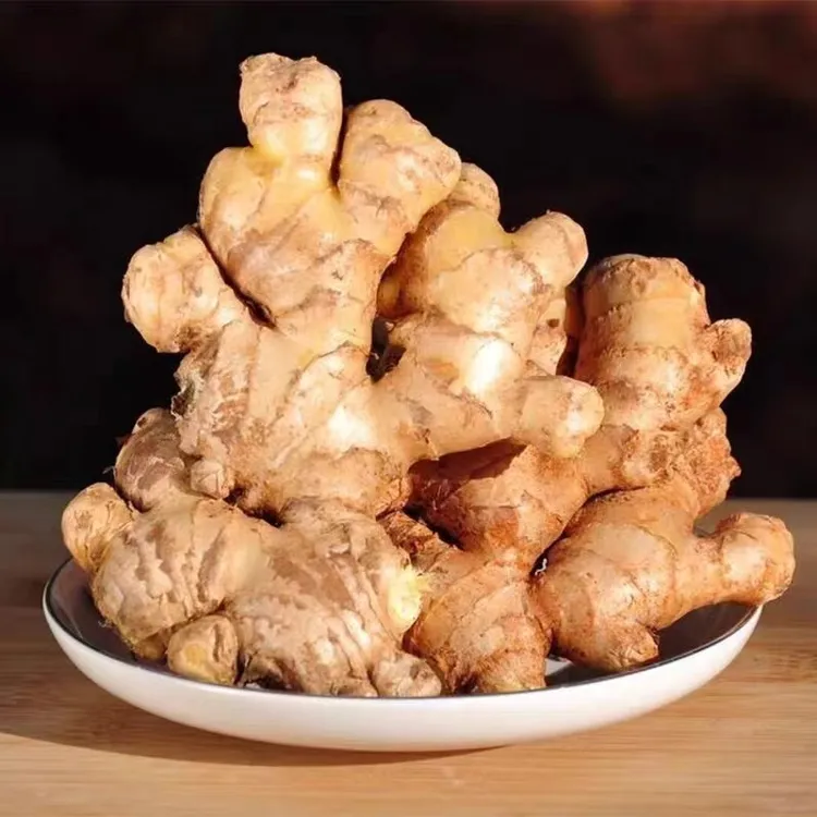 甜果篮正宗云南高山山地小黄姜生姜老姜新鲜现挖1/3/5/9斤整箱