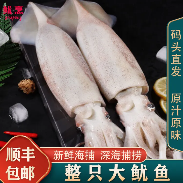 【5斤大鱿鱼】新鲜大鱿鱼整条鱿鱼未处理大鱿鱼整只冷冻水产3/5斤装