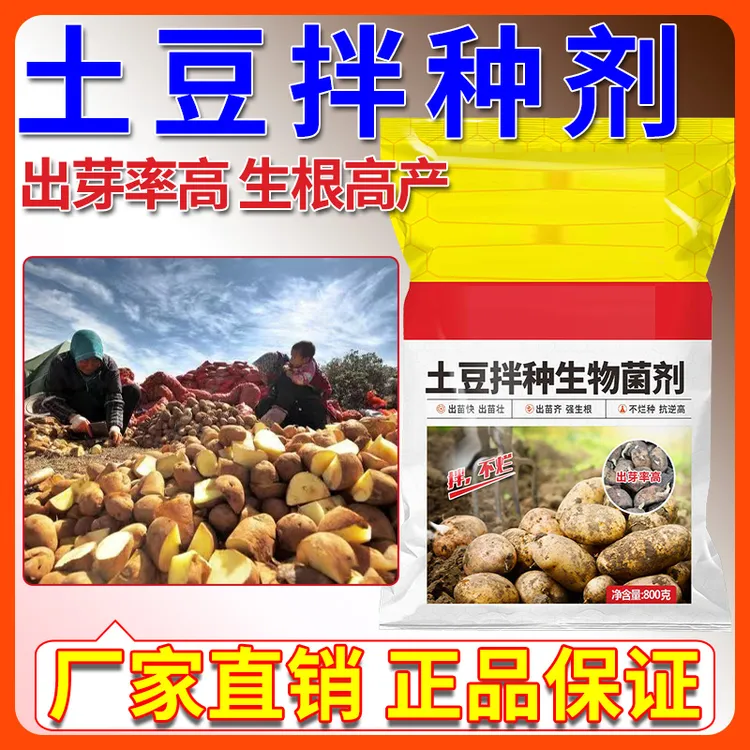 土豆拌种剂升级高出芽率生根壮苗不烂种高产包衣微生物菌剂