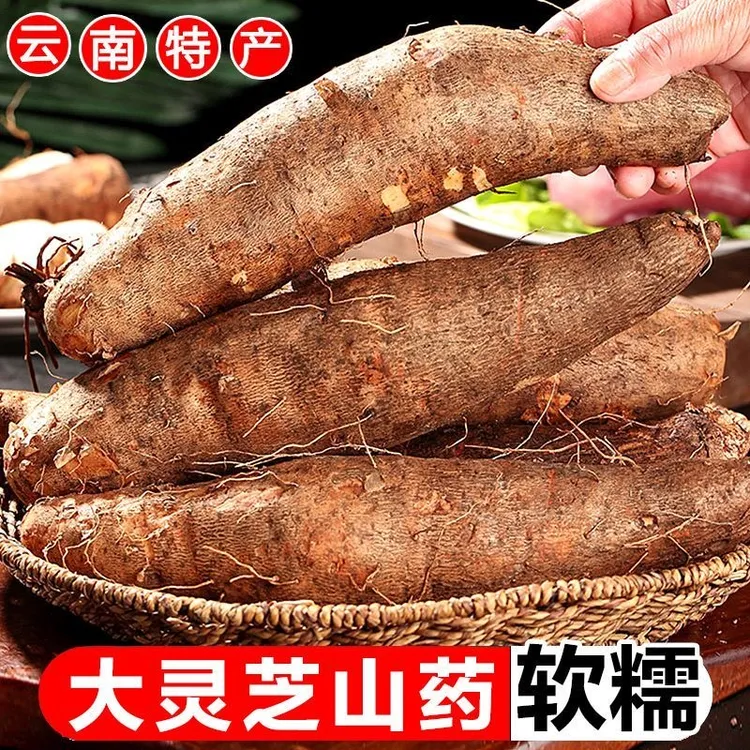 【云南特产】灵芝山药新鲜粉糯非铁棍秤砣淮山小白嘴蔬菜1/5/3/9斤