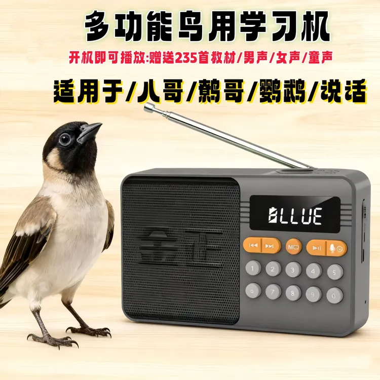 鸟用八哥鹩哥训练说话学说话复读机玄凤鸟叫声学语鹦鹉说话训练器