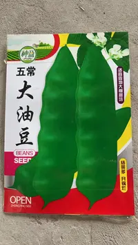 种盈五常大油豆豆角种子