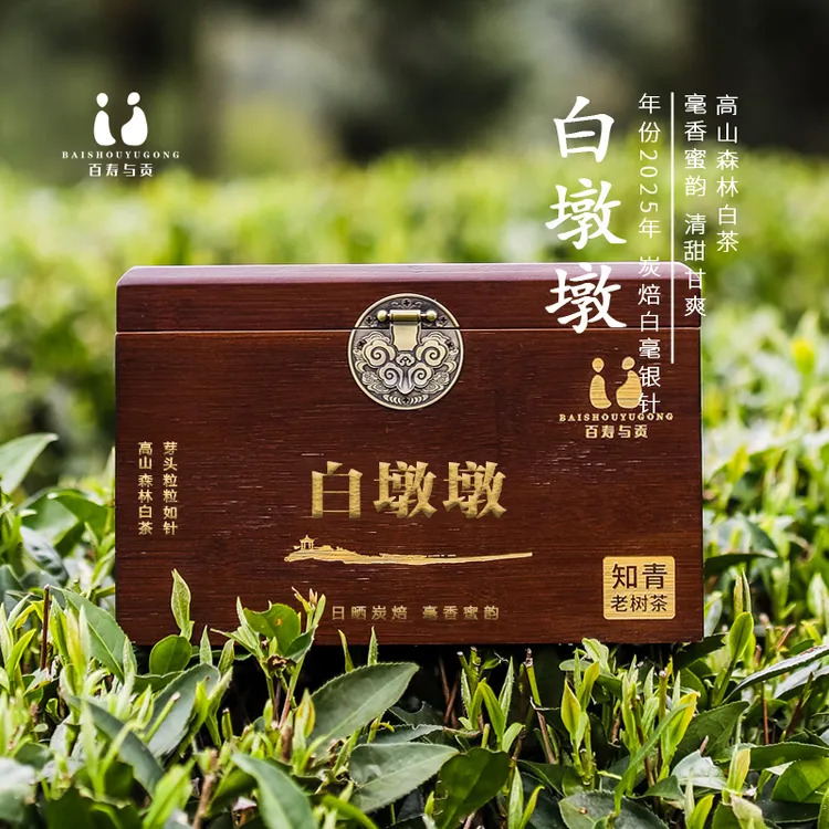 「百寿与贡」2025年白墩墩 福鼎磻溪高山老树炭焙日晒白毫银针50g