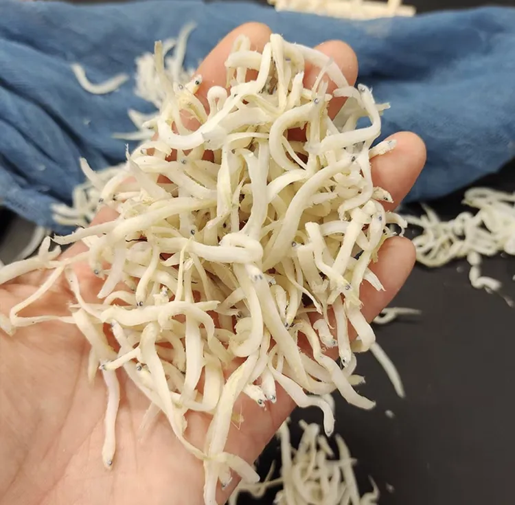 威海特产烘干深海野生小银鱼