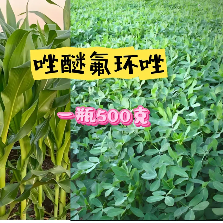 {唑迷氟环唑500克}唑迷氟环唑 一瓶500克保叶防锈叶面水溶肥