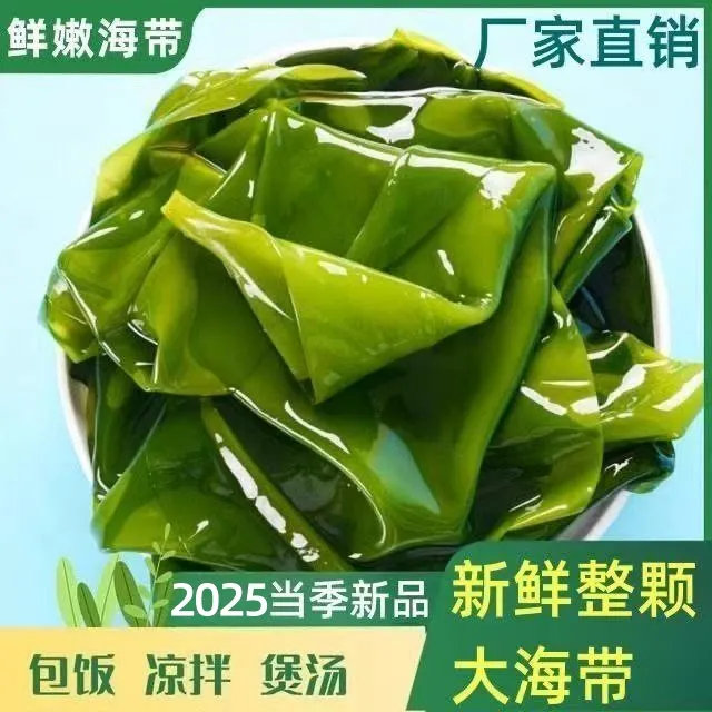 【2025新菜】 少盐 头茬鲜嫩盐渍整颗海带 带箱5斤  