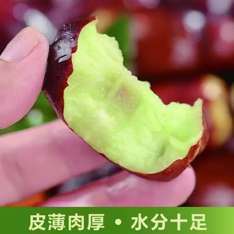 宁夏灵武长枣脆甜爽口