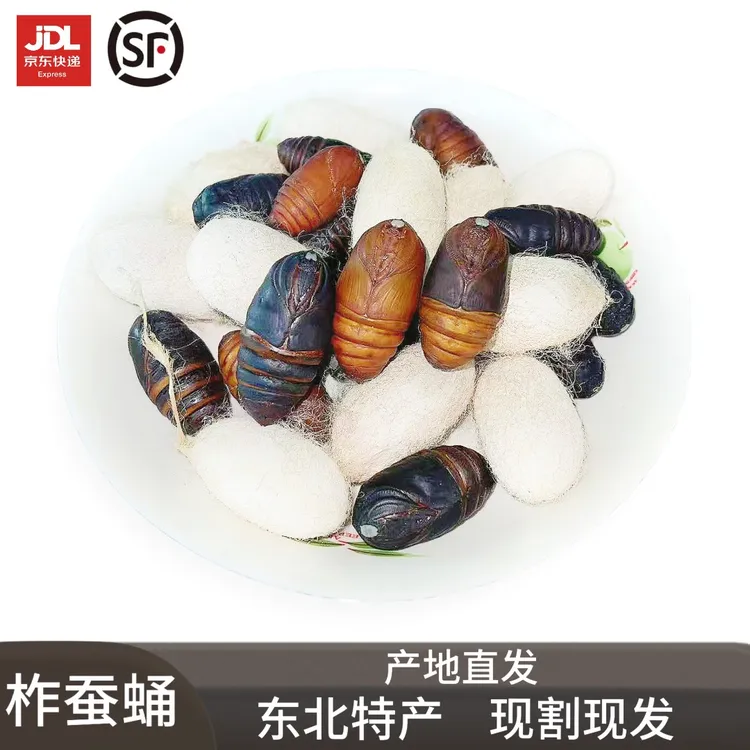 柞蚕蛹高蛋白新鲜活蛹东北特产柞树蚕蛹绿色低脂原产地直发聚划算