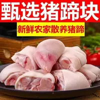 【顺丰发货】新鲜带筋猪蹄免切猪蹄块速冻冷鲜散养土猪