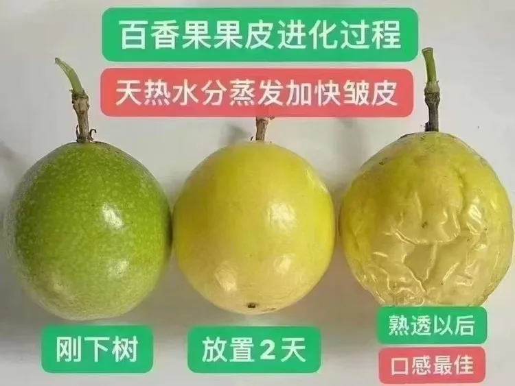 钦蜜九号百香果新鲜当季水果香甜多汁包邮
