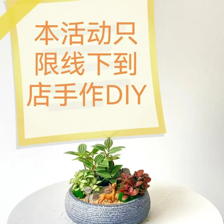 精品艺术盆栽沙龙